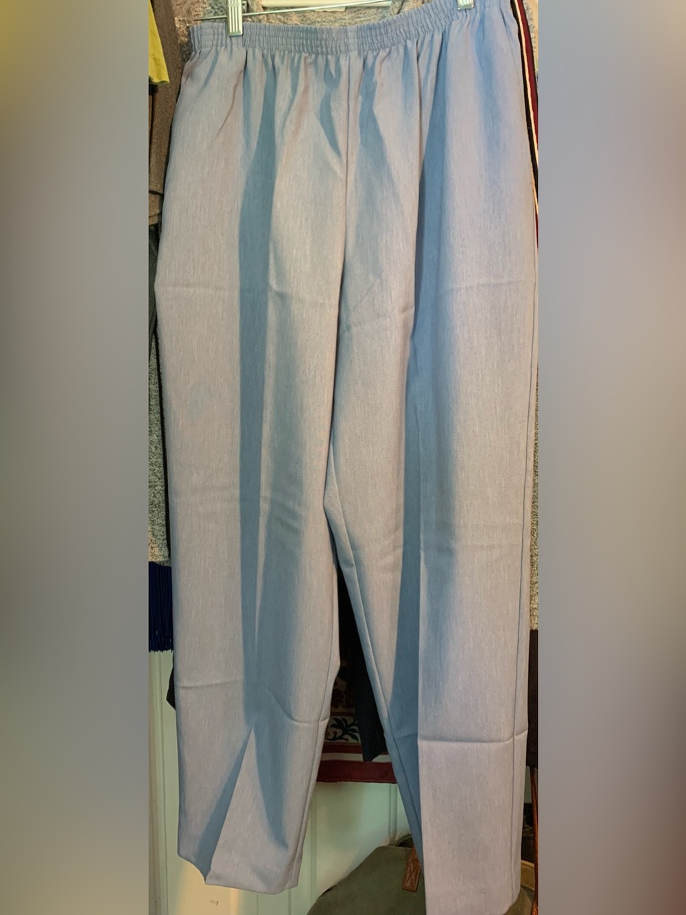 Alfred Dunner Light Blue Elastic Waist Pants